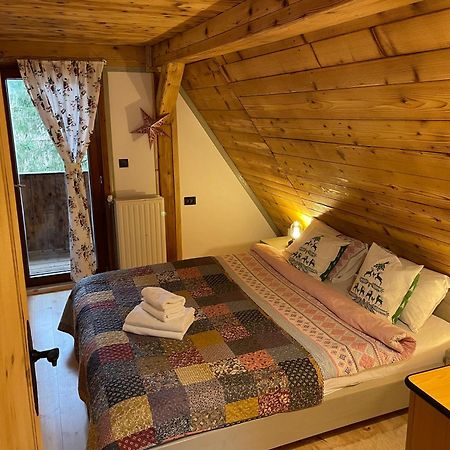 Cabana Craita Vişeu de Sus Zewnętrze zdjęcie