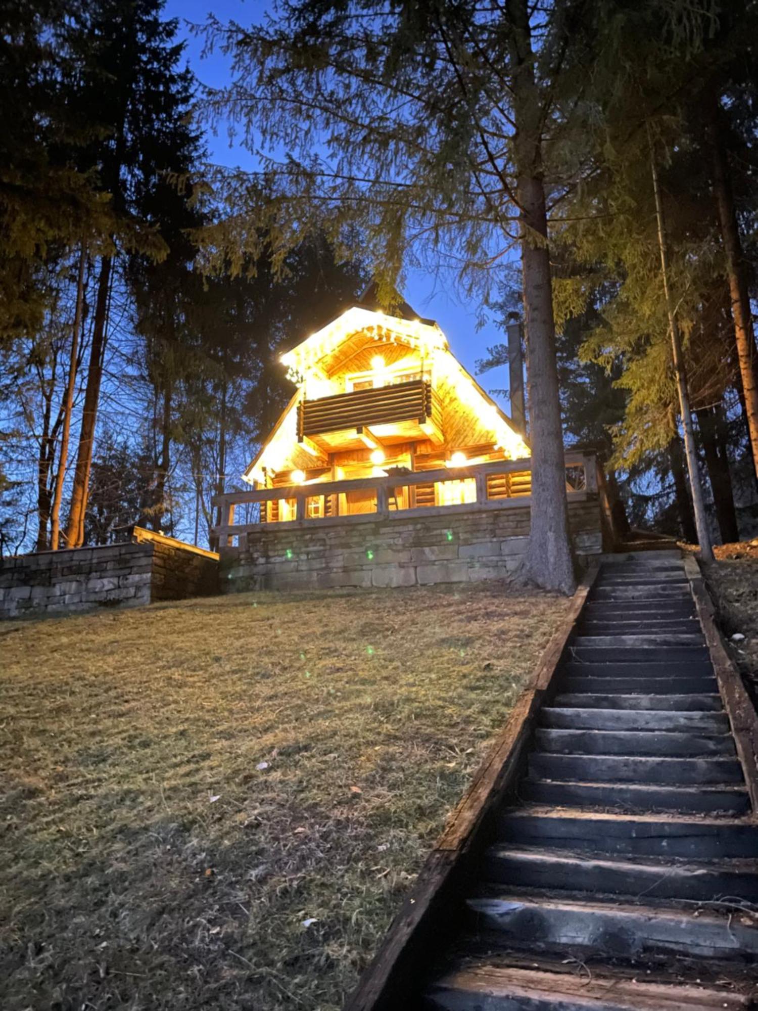 Cabana Craita Vişeu de Sus Zewnętrze zdjęcie